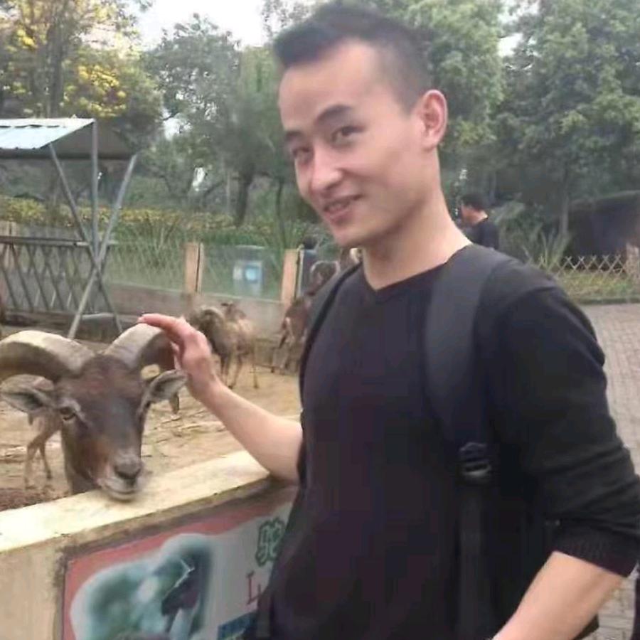 小熊俊