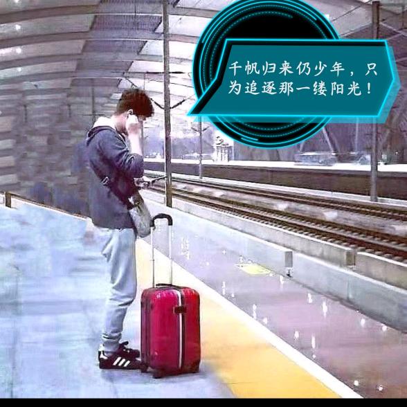 树静风至