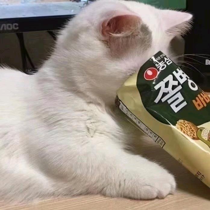 起得丸