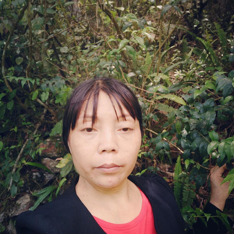 大山里的蓉姐