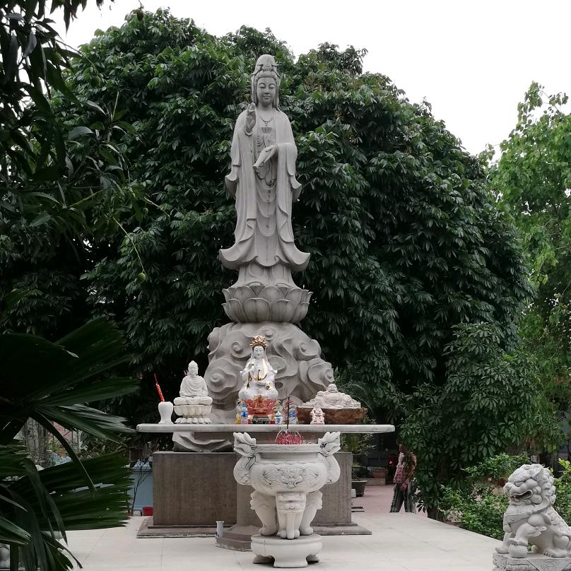 小毛驴。