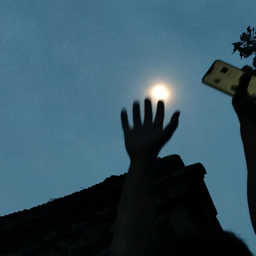利多卡因
