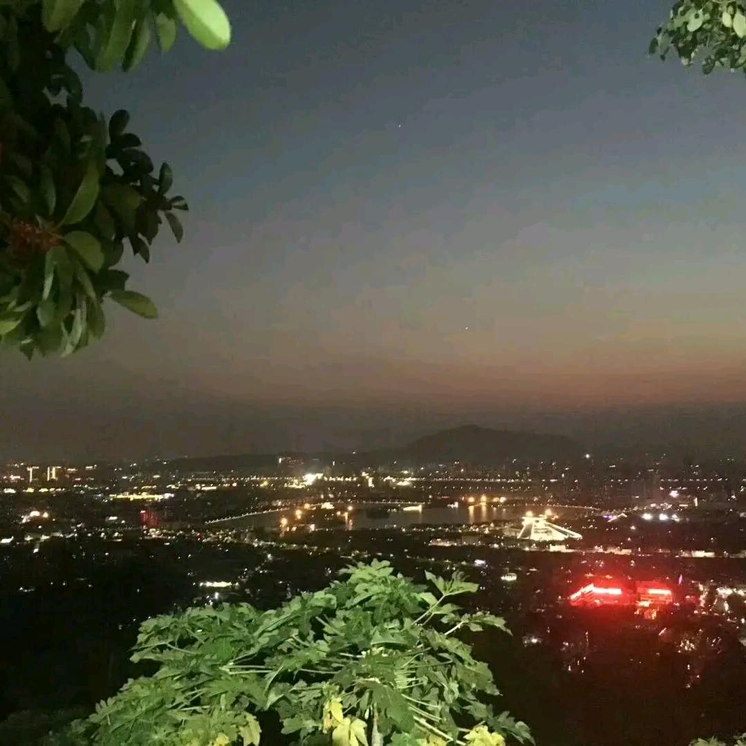 梅