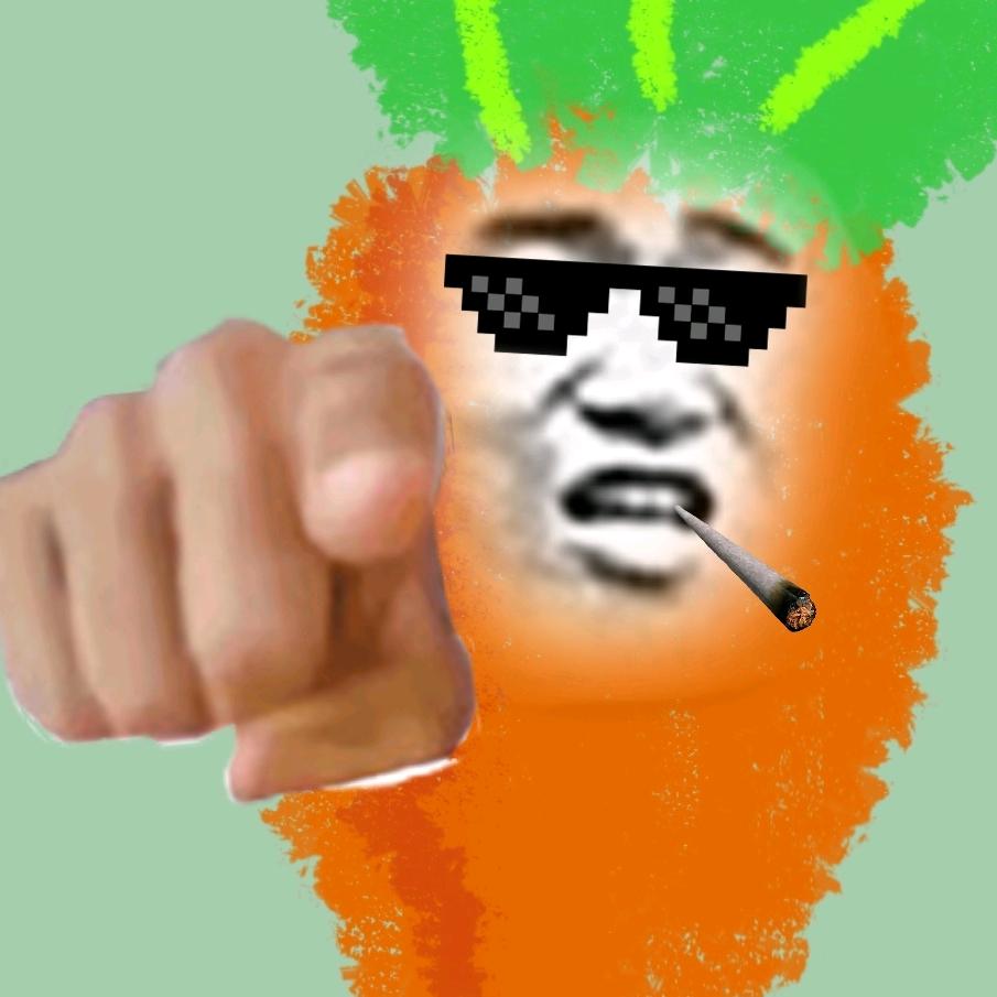 萝卜不会整活