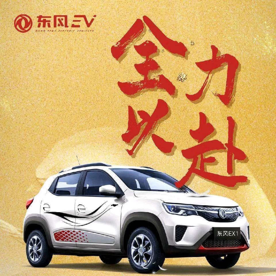 邵东市齐志新能源汽车贸易有限公司