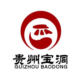 贵州宝洞酒业有限公司企业店