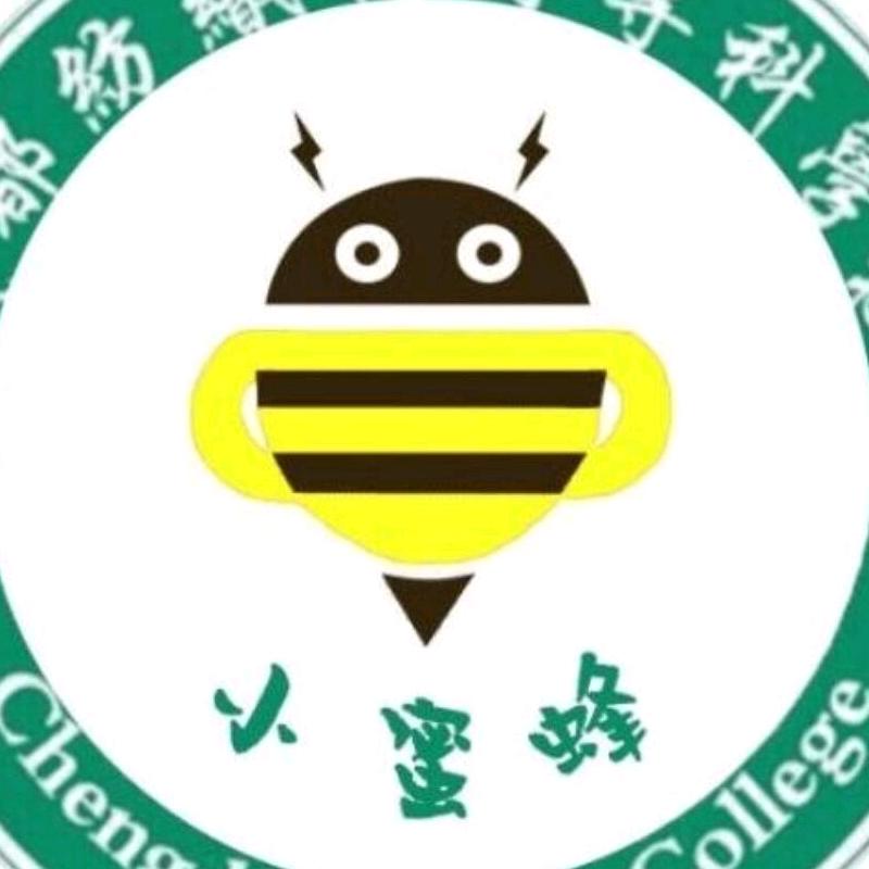 成都—小蜜蜂🐝