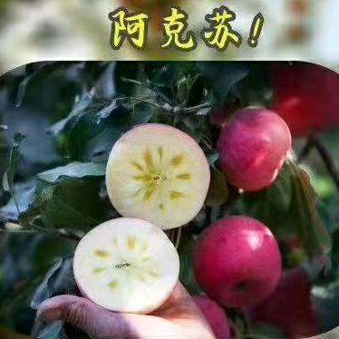 果多多(静夜思)