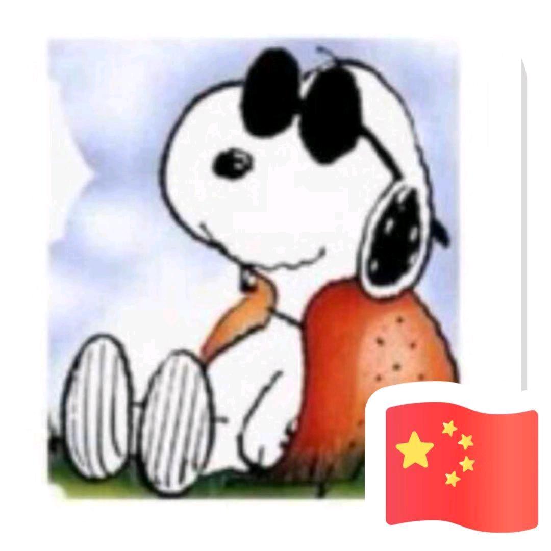 狗年的妞妞