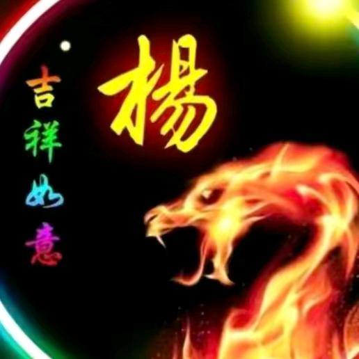 杨飞