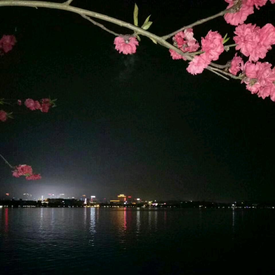 老三（黑粉团）