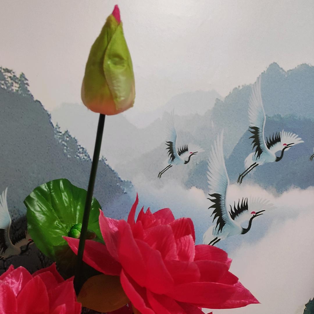 易善缘