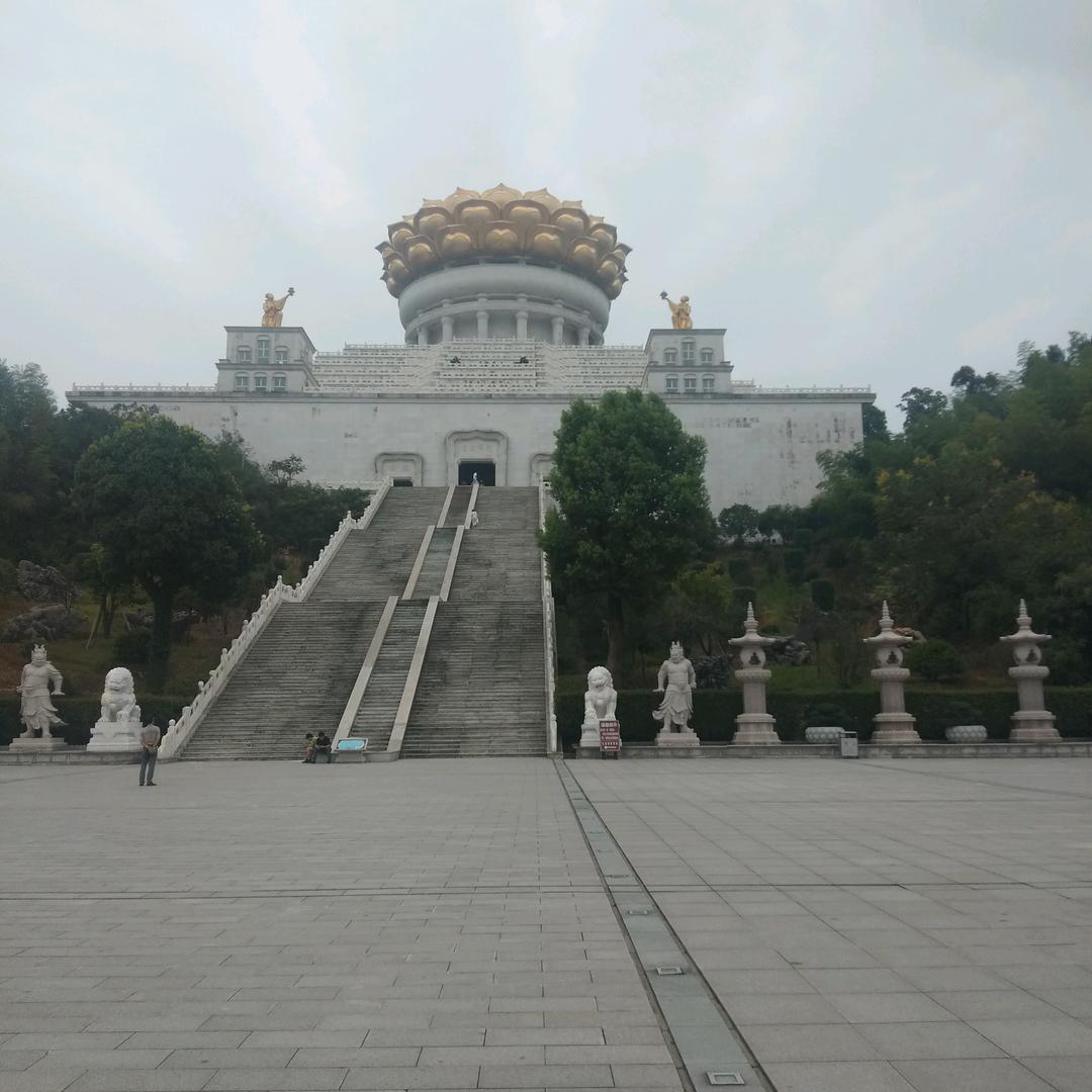 ♥爱你的情℡不忘♀