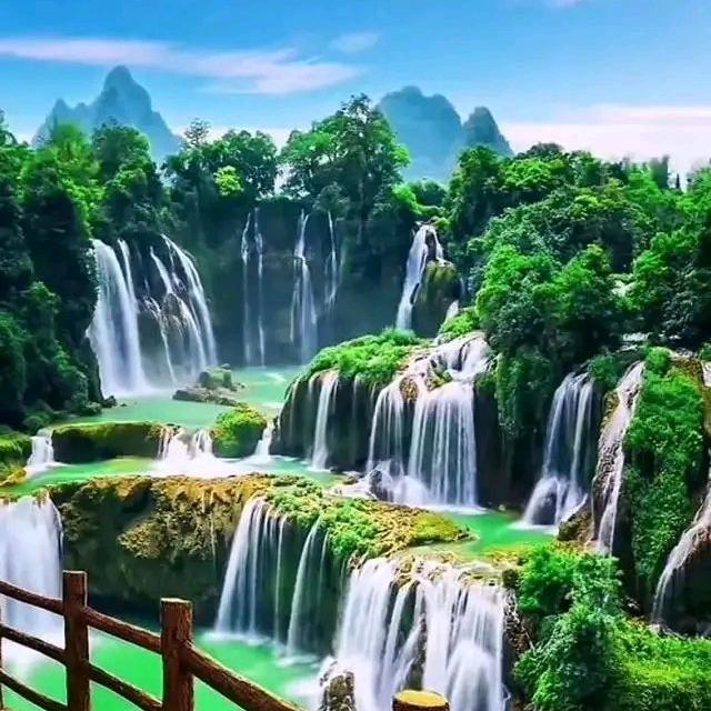 维修 各种门 专业卖样品门