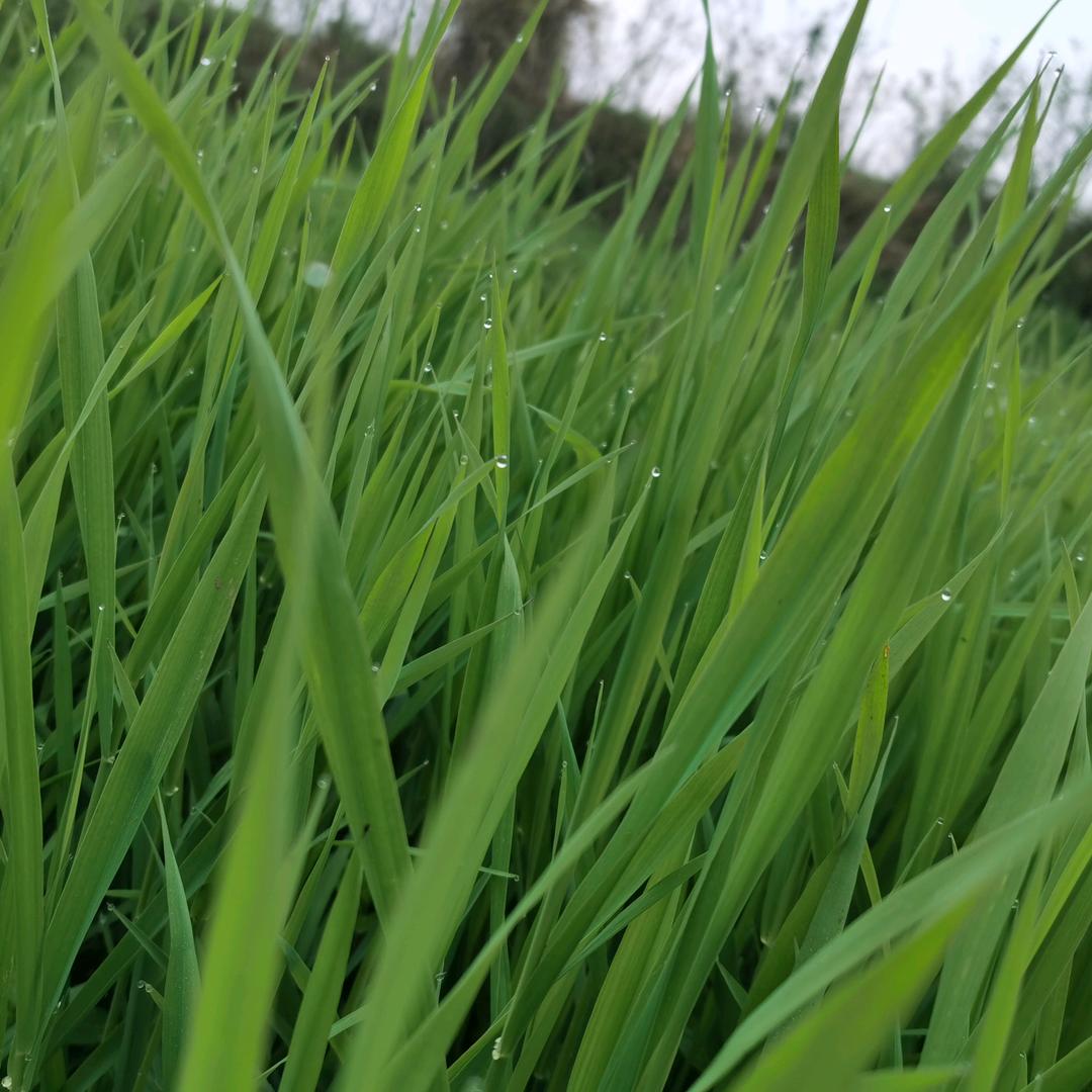 🌈🌈邱@哥🚩🚩🇨🇳