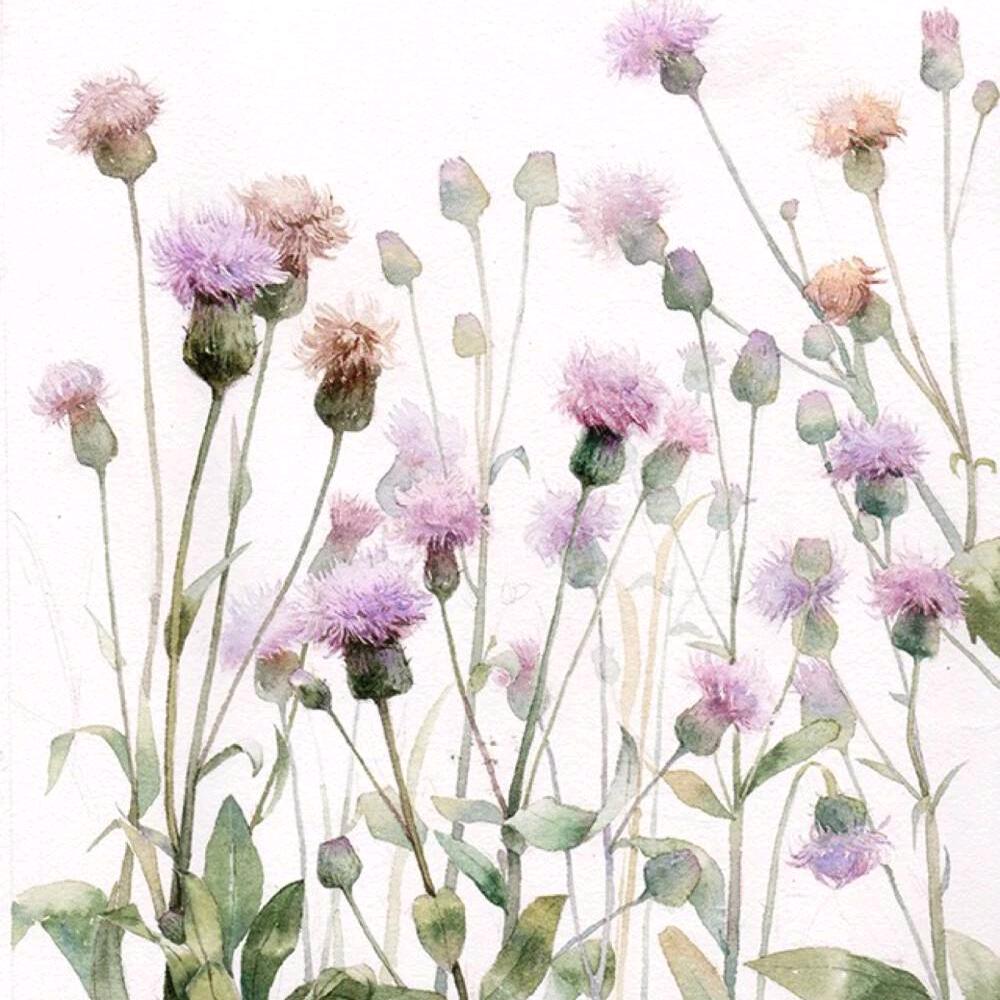 花落花开