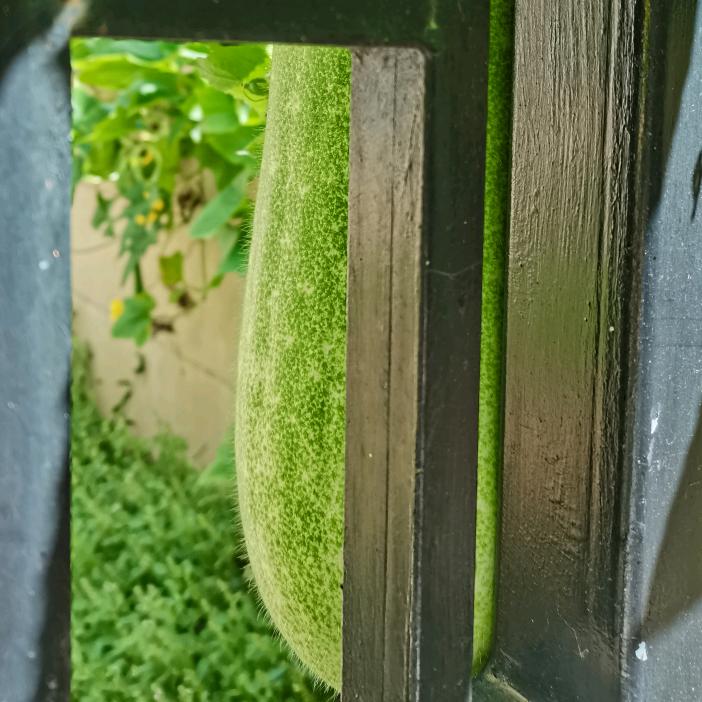 潋滟