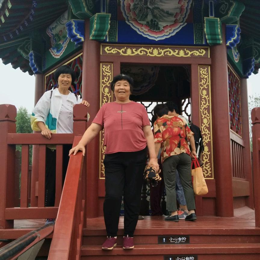 老朱老师