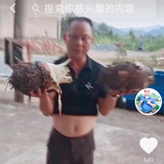 赣南香芋哥！黄永亮！