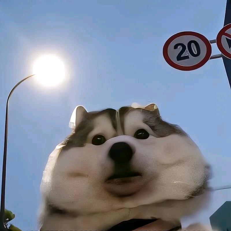 叮叮来了