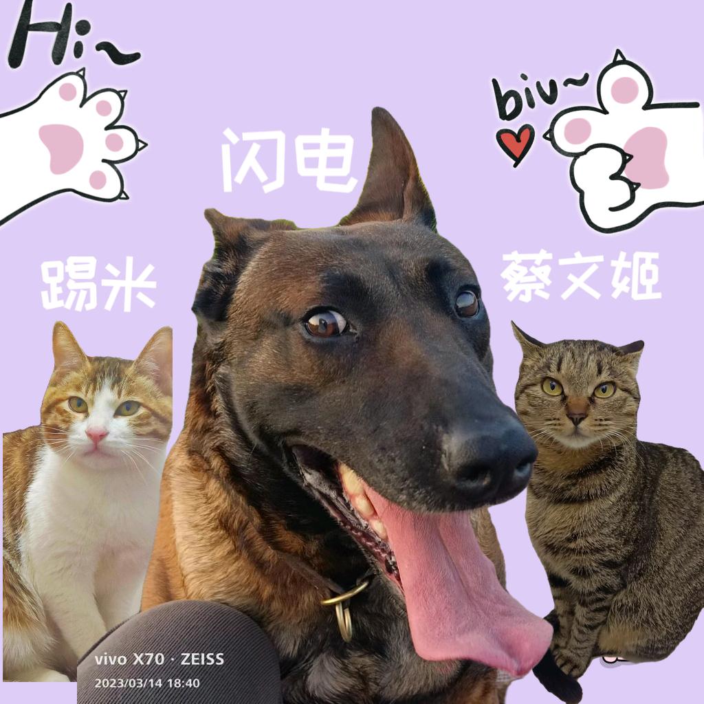 闪电踢米蔡文姬
