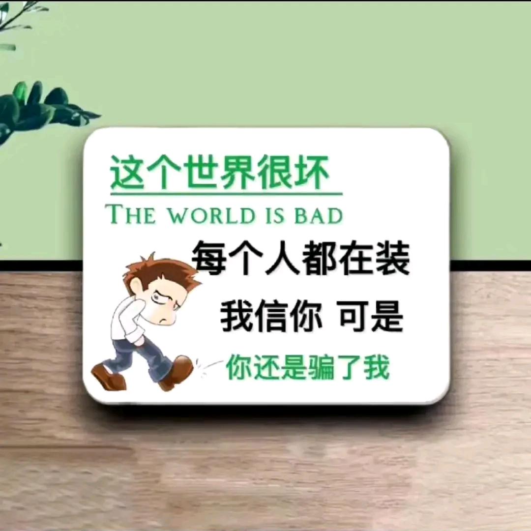 猛龙过江
