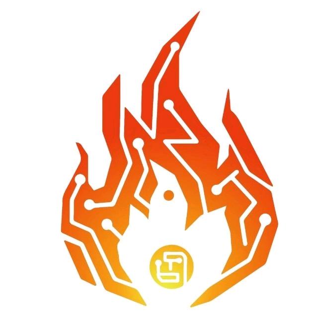 齐鲁工大Adam战队