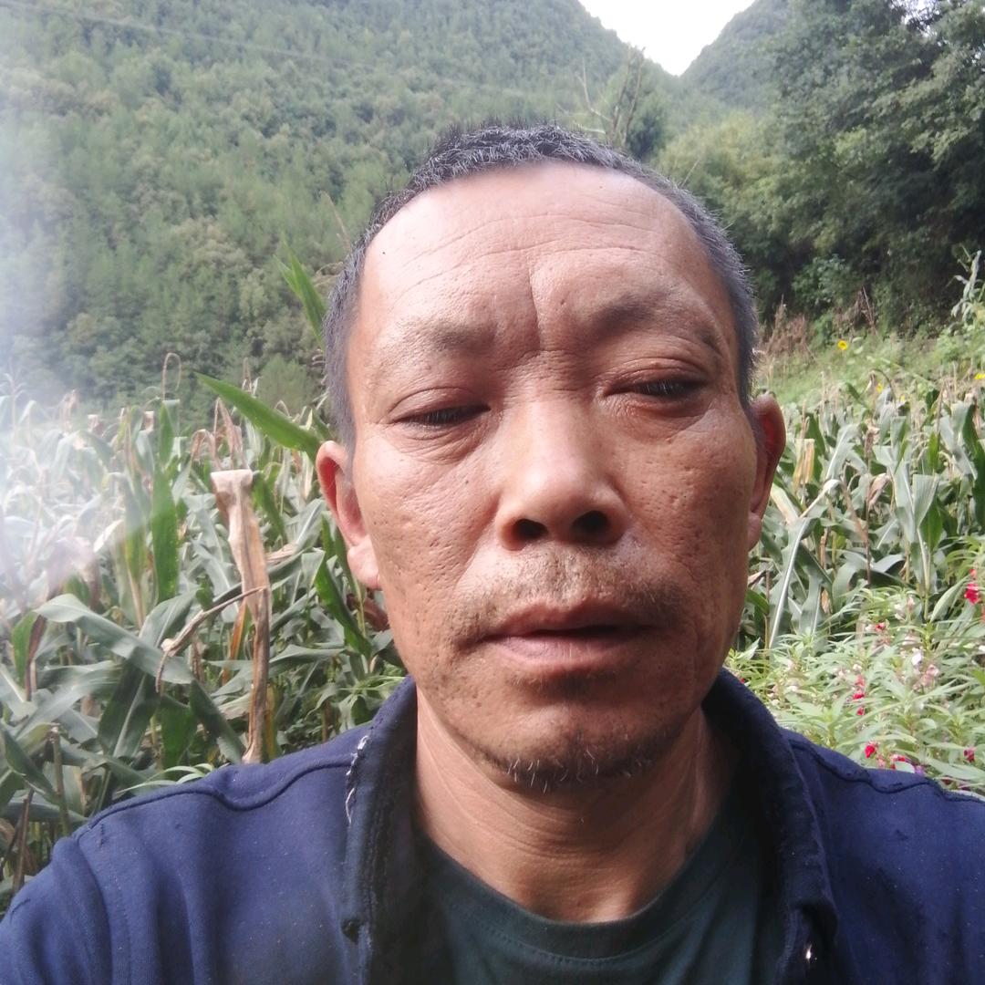 \农村人（家和万事兴）