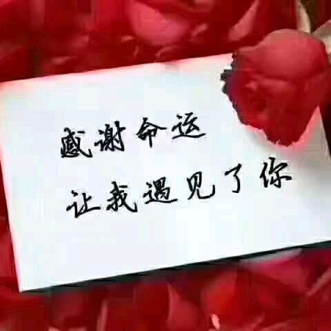 库宴沙发软床