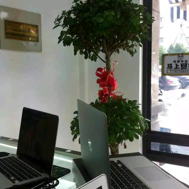 独当一面🎵🎶