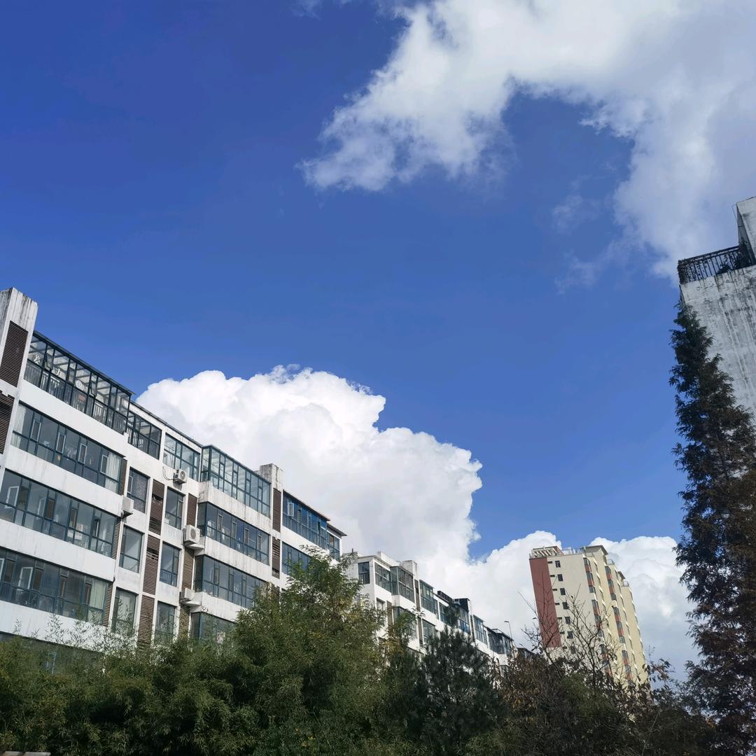 张杰不动产（工业房产、土地租售）咨询师