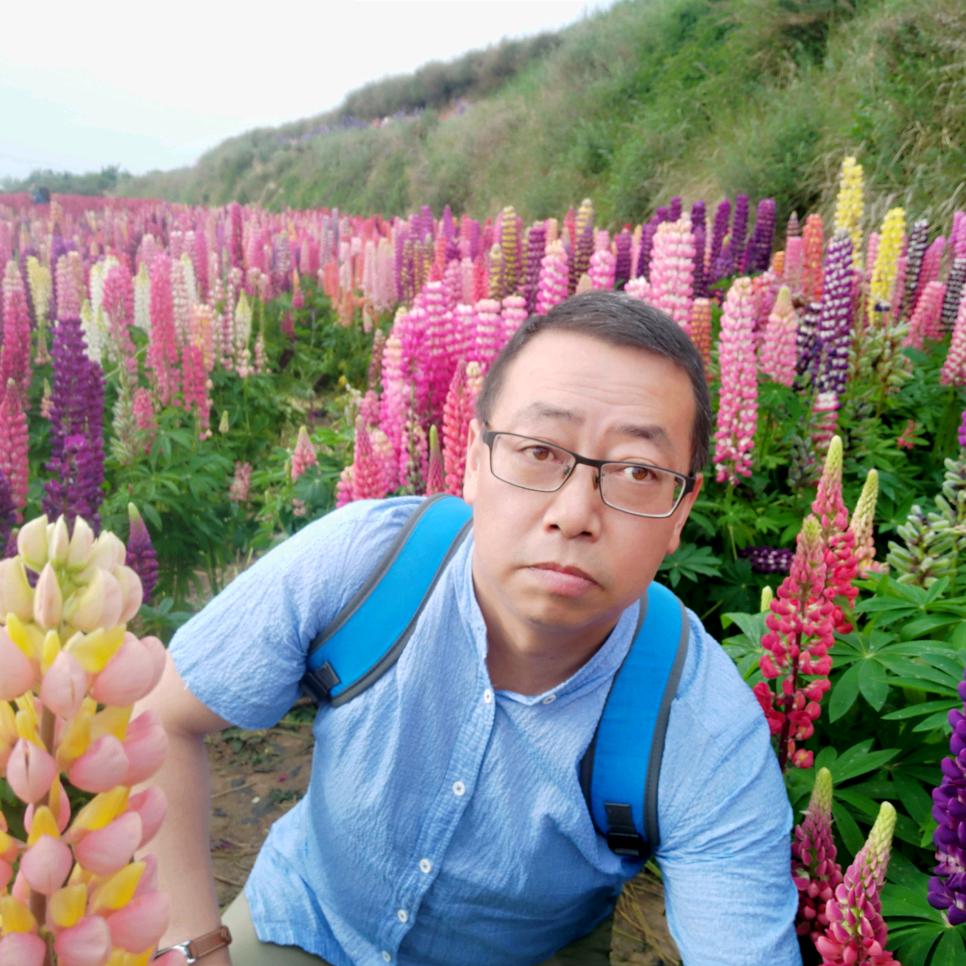 黄蜂一镜走天涯