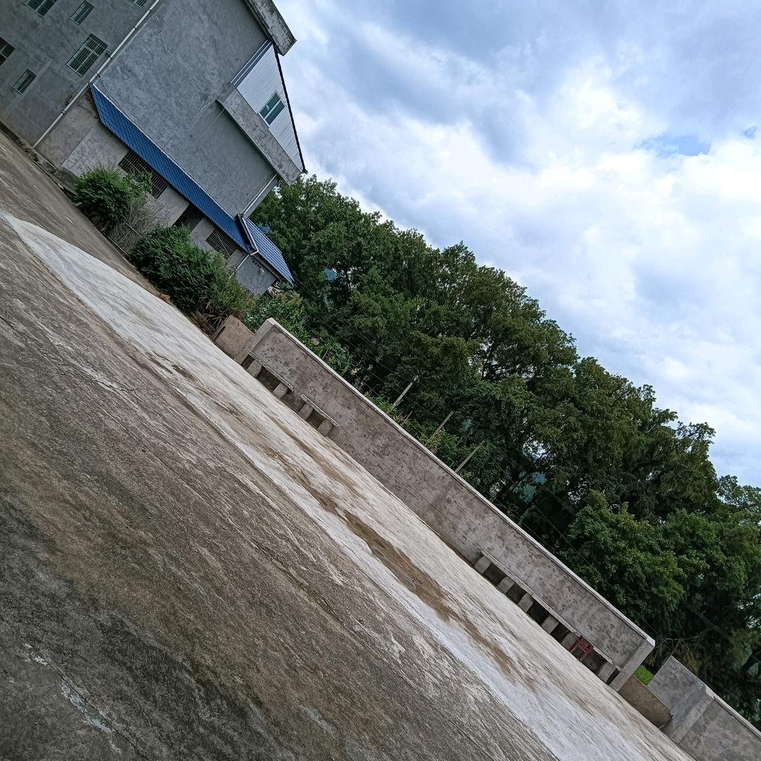老表们