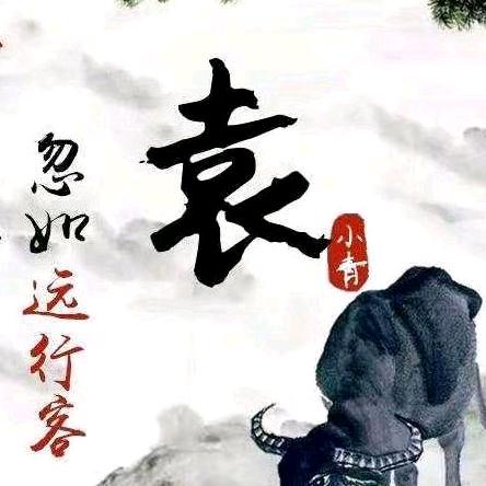 （时光不负归巢路）