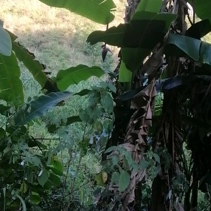 岁月的痕迹