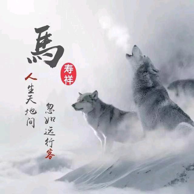 寿儿