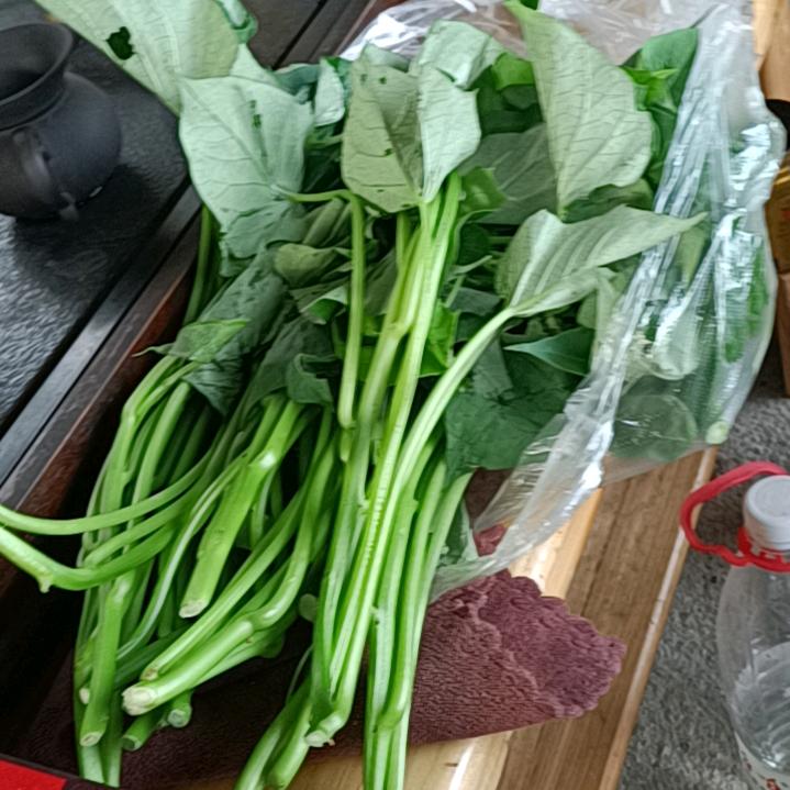 皇者归来