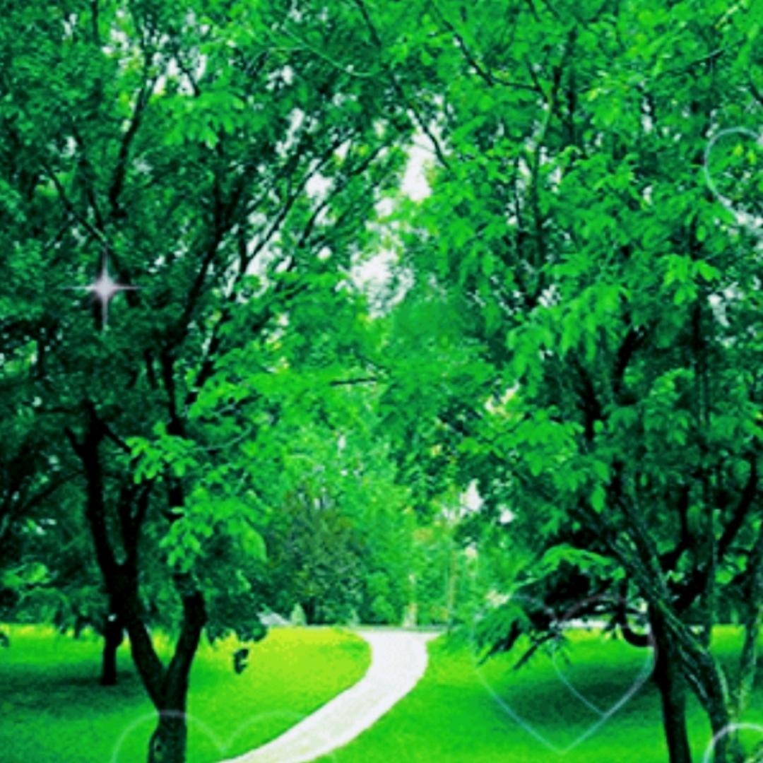 常常梦见回老家