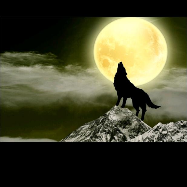 ༄༊ 𝓐𝓵𝓲𝓷𝓮 ོྂ