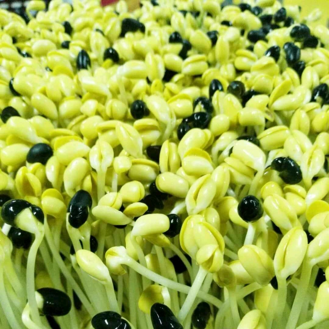源味老家