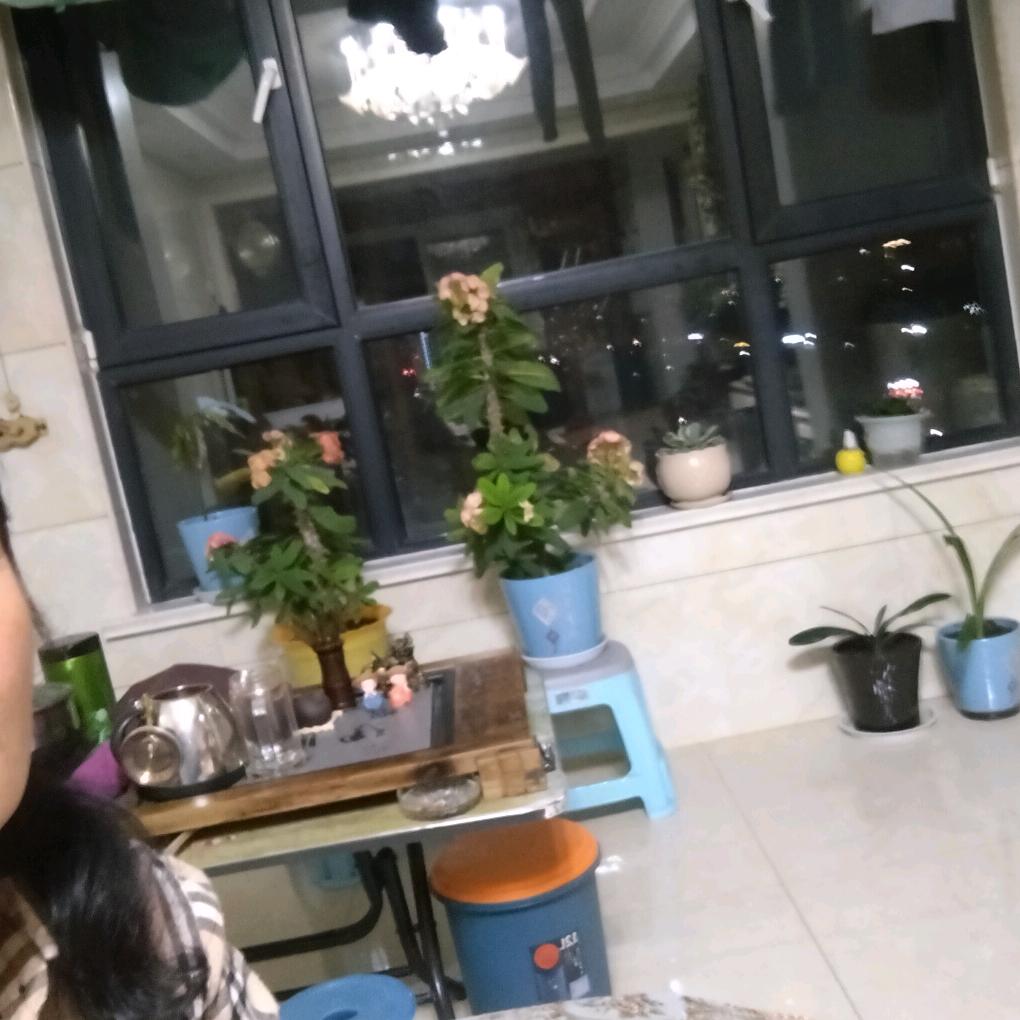 H兴