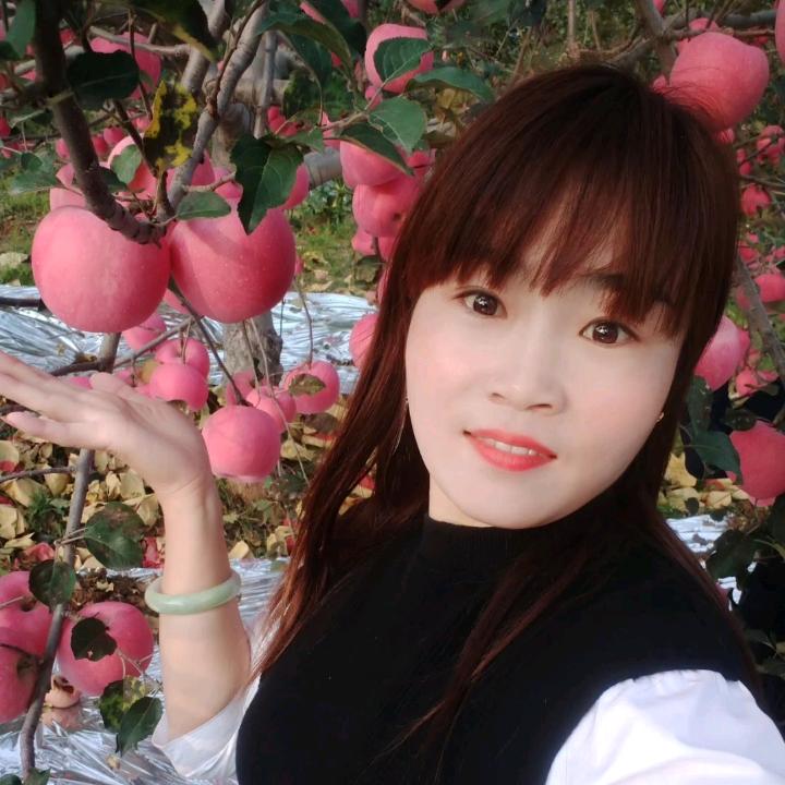 吉县苹果小玲