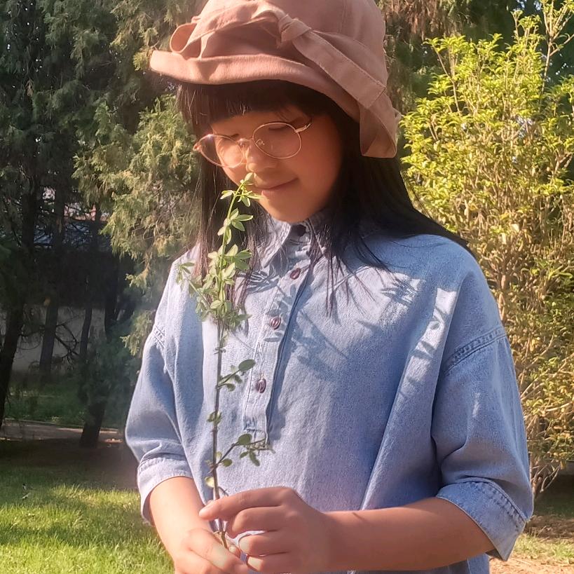 我是一只小鸟