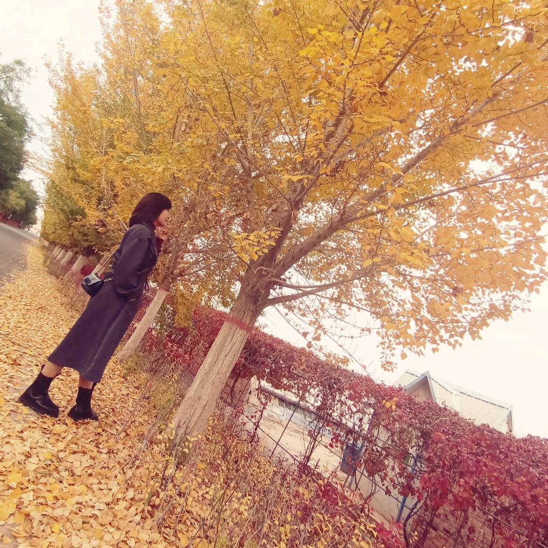 紫月雨汐（勿连赞）