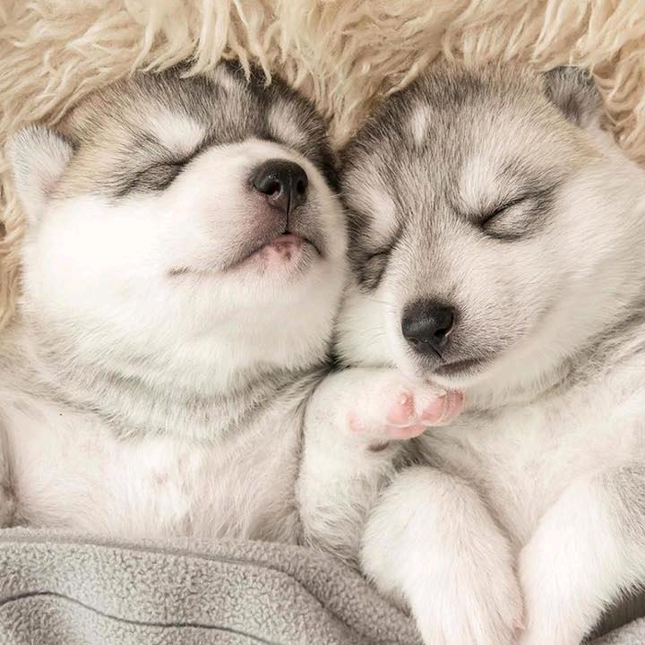 335
