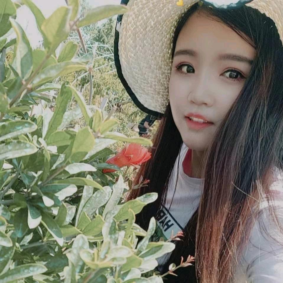 小姐姐石榴盆景