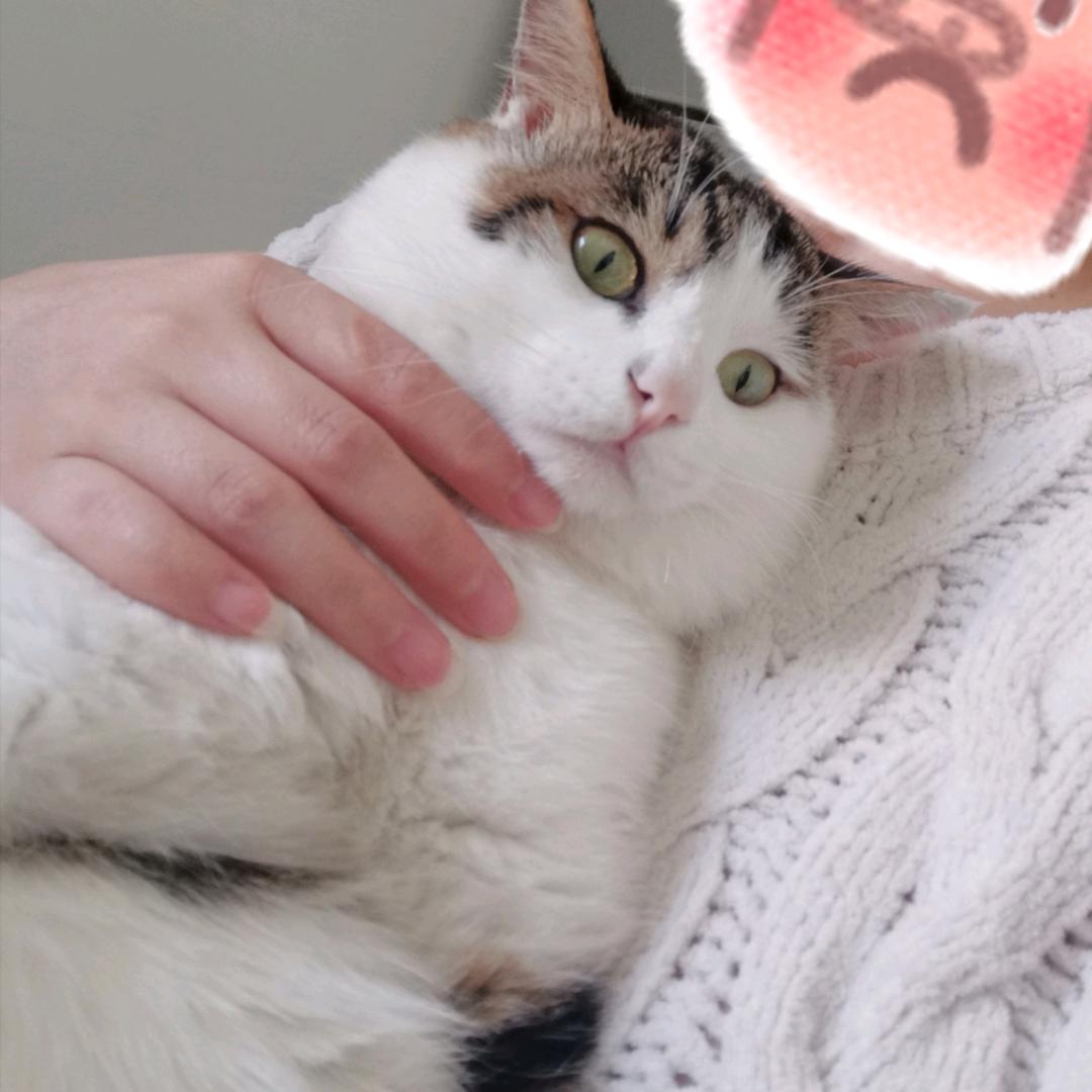 小斑和它小弟小黑黑