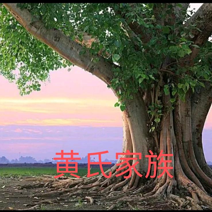 黄氏家族，打工人