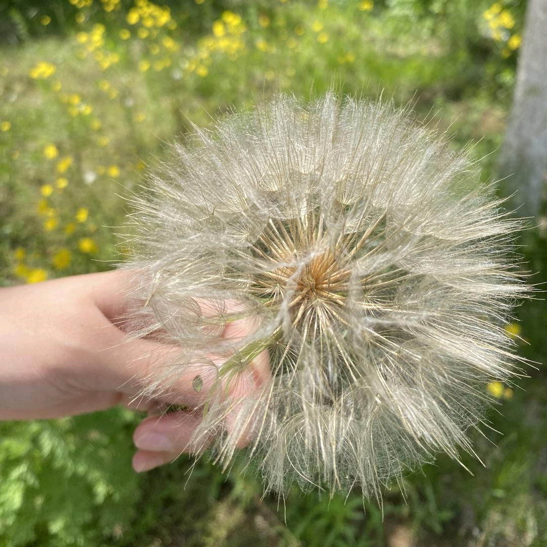 ℳ̶̶̶̶♡̶如愿꧔ꦿ℘