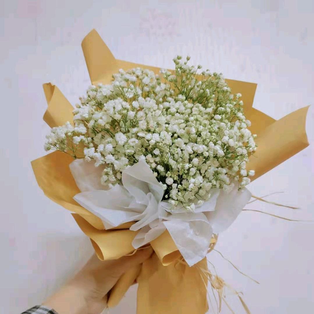 周末大懒虫